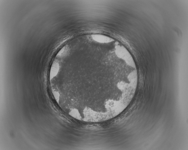 X0000110920386200907301607