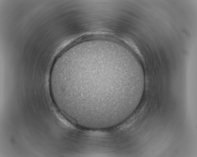 X0000110920389200907301607