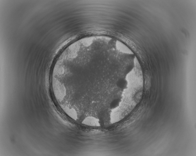 X0000110920390200907301607