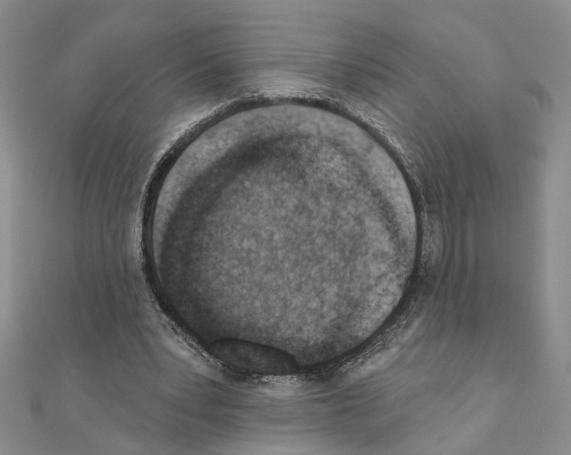 X0000110920391200907301607