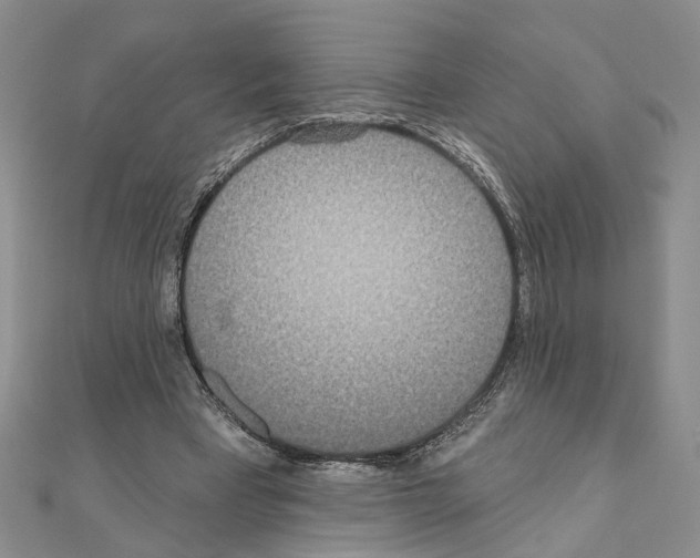 X0000110920393200907301607