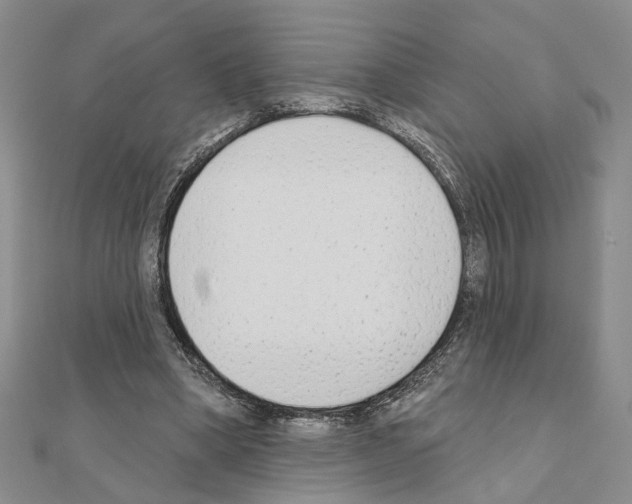 X0000110920394200907301607