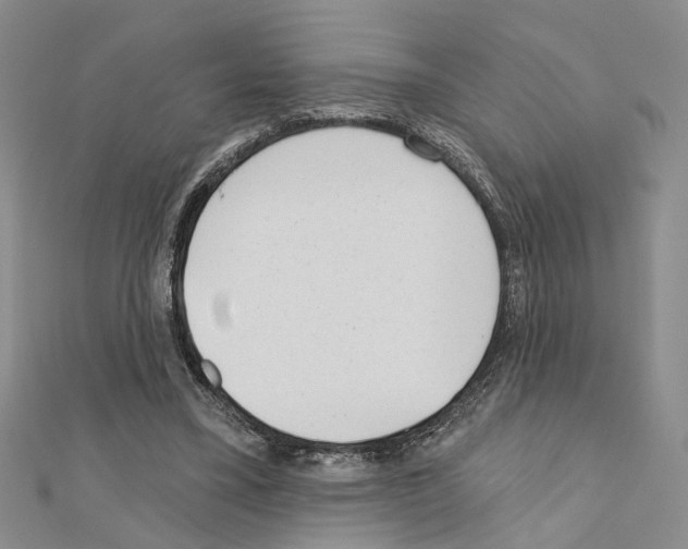 X0000110920395200907301607