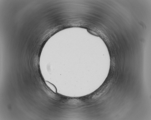 X0000110920397200907301607