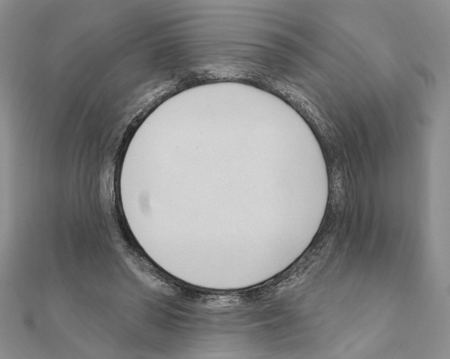 X0000110920398200907301607