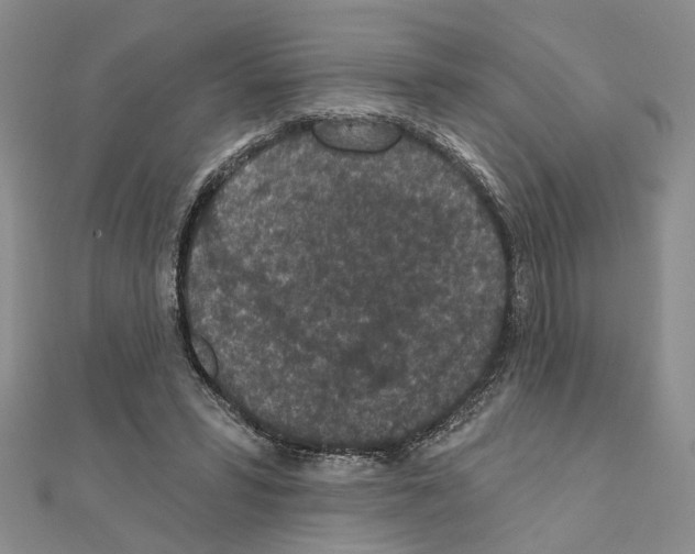 X0000110920399200907301607