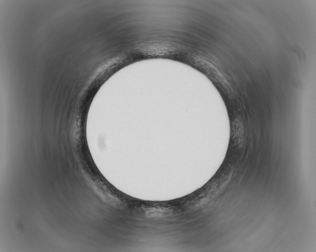 X0000110920400200907301607