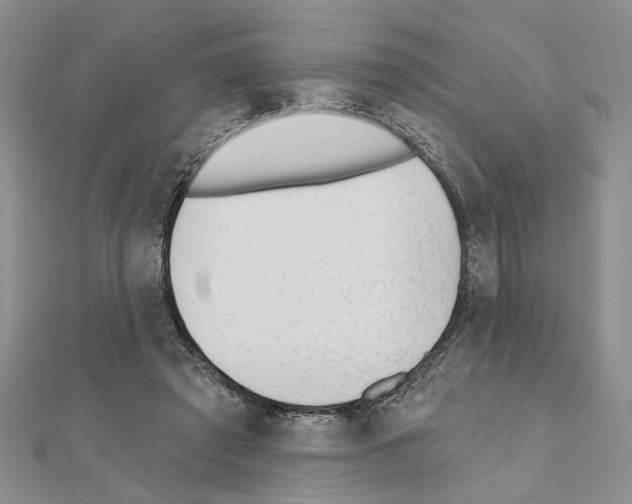 X0000110920401200907301607