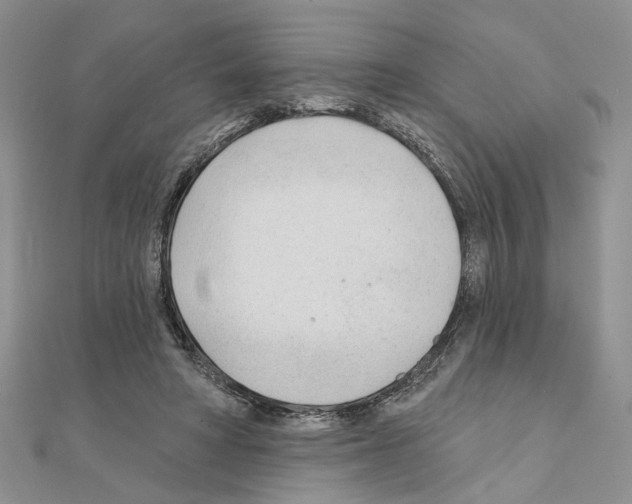 X0000110920402200907301607