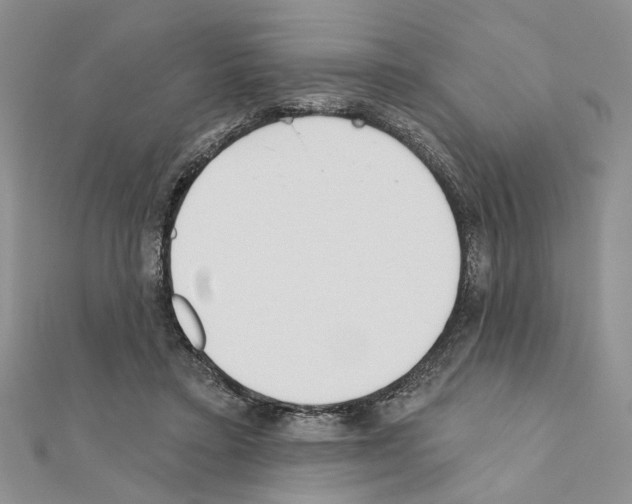 X0000110920403200907301607