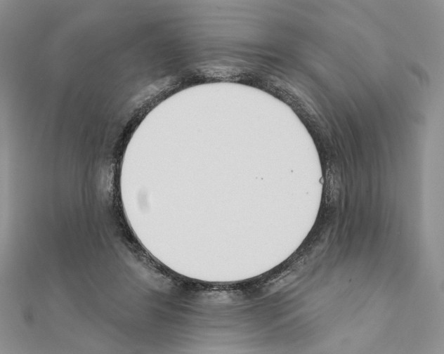 X0000110920404200907301607