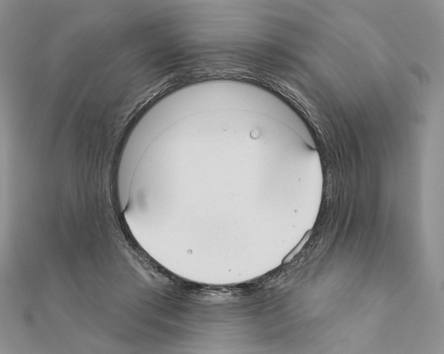 X0000110920405200907301607