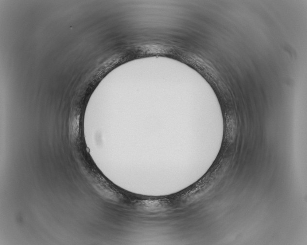 X0000110920406200907301607
