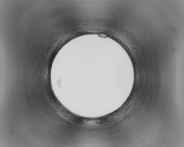X0000110920407200907301607