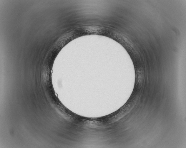X0000110920408200907301607