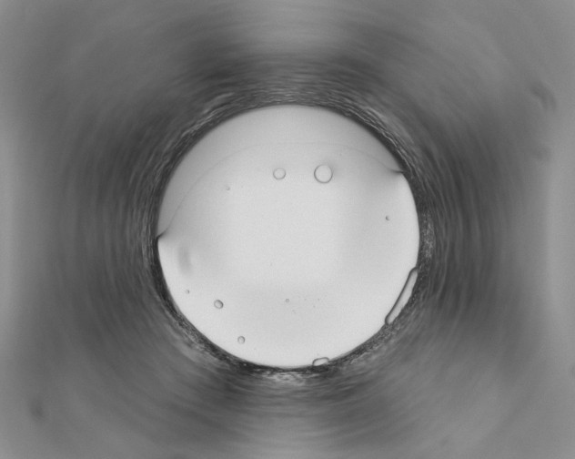 X0000110920409200907301607