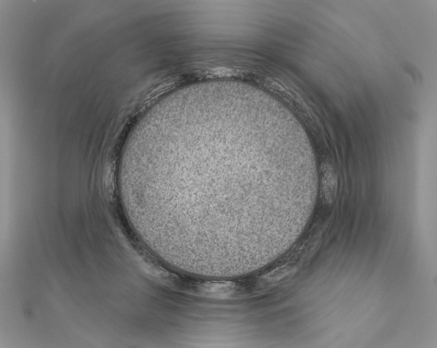 X0000110920410200907301607