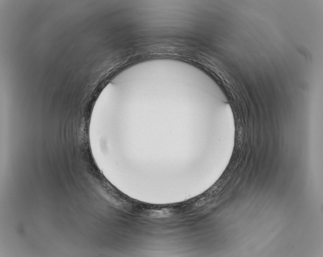 X0000110920411200907301607
