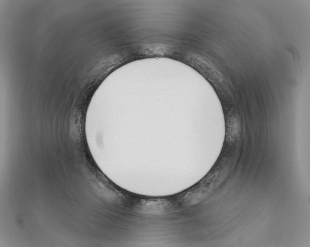 X0000110920414200907301607