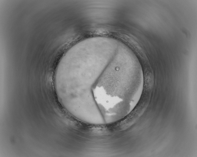 X0000110920415200907301607