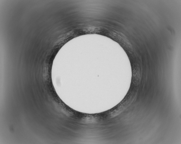 X0000110920416200907301607