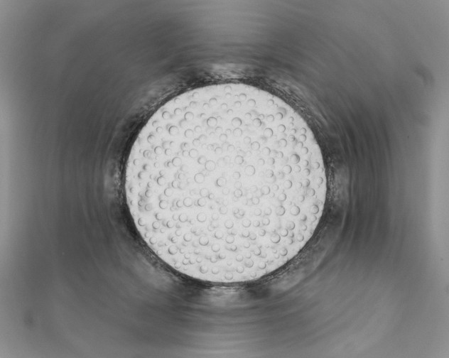 X0000110920418200907301607