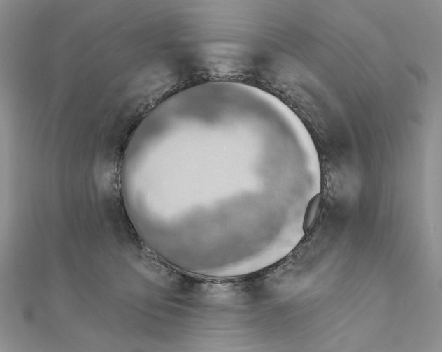 X0000110920419200907301607