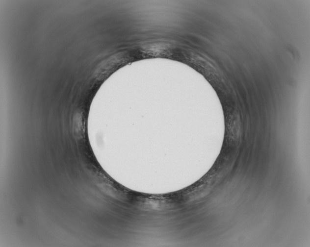 X0000110920420200907301607