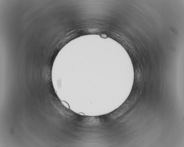 X0000110920421200907301607