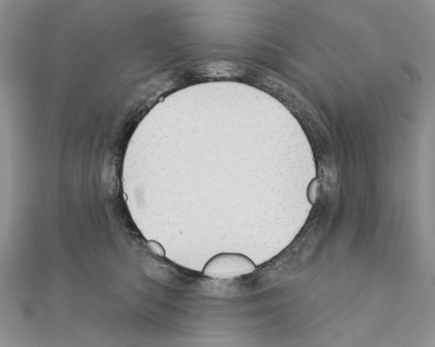 X0000110920422200907301607