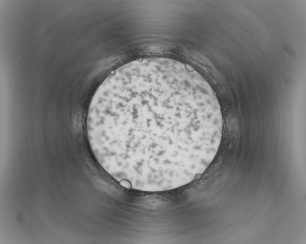 X0000110920423200907301607
