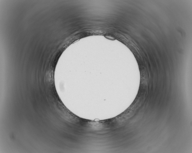 X0000110920425200907301607