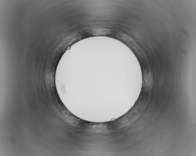 X0000110920426200907301607