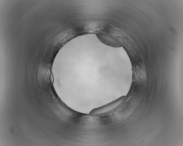 X0000110920427200907301607