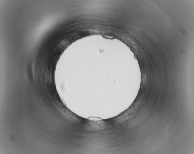 X0000110920429200907301606