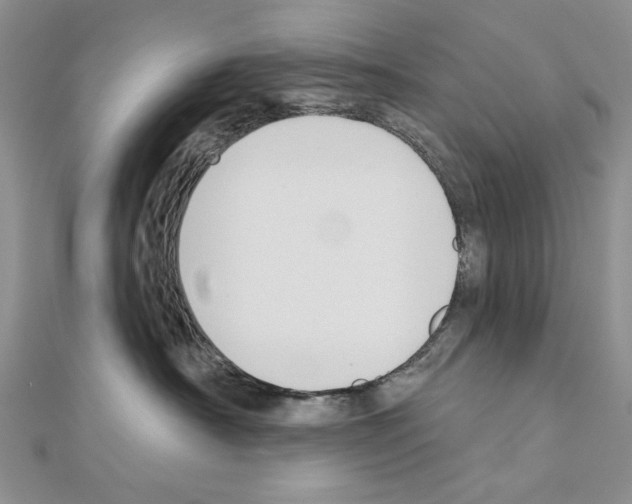 X0000110920430200907301606
