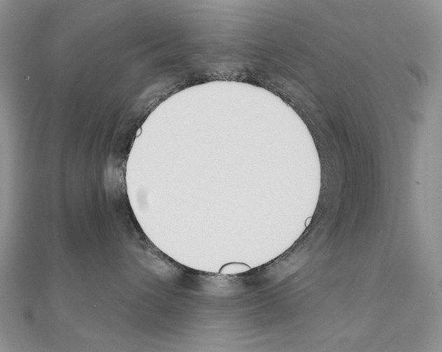 X0000110920432200907301606
