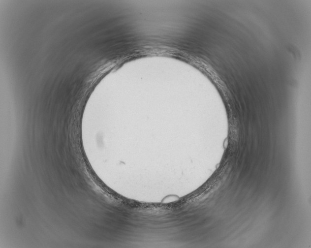 X0000110920433200907301606