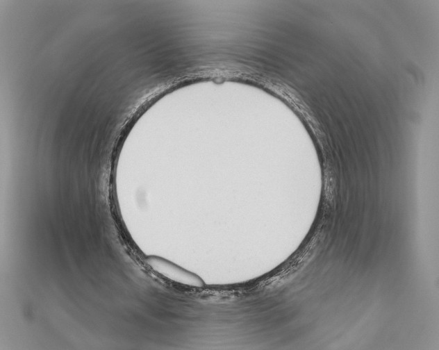 X0000110920434200907301606