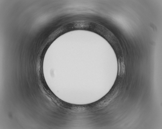 X0000110920435200907301606