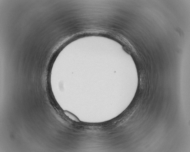 X0000110920436200907301606