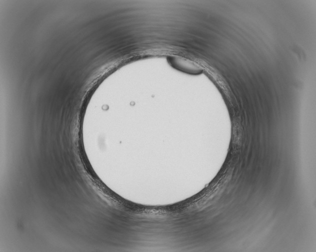 X0000110920437200907301606
