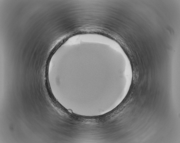 X0000110920438200907301606