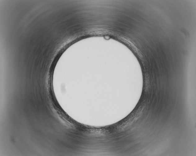 X0000110920439200907301606
