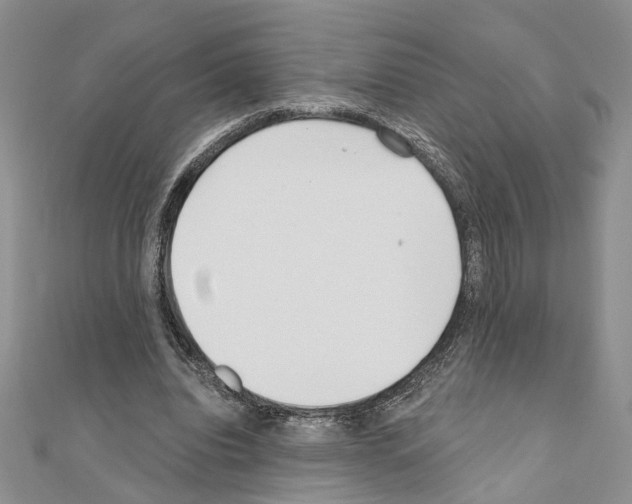 X0000110920440200907301606