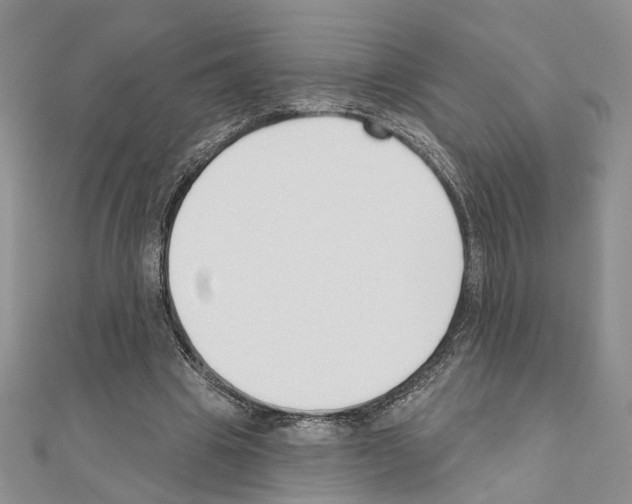 X0000110920441200907301606