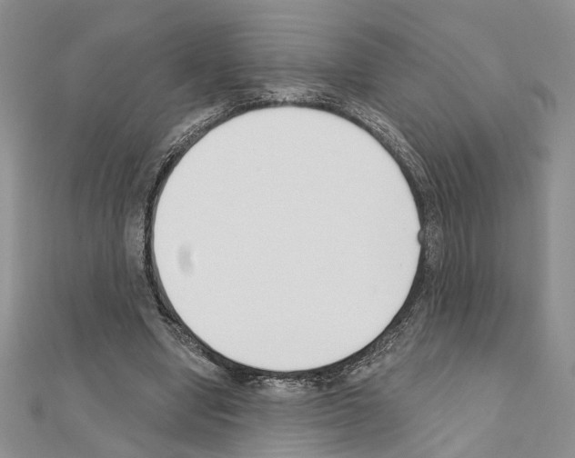 X0000110920442200907301606