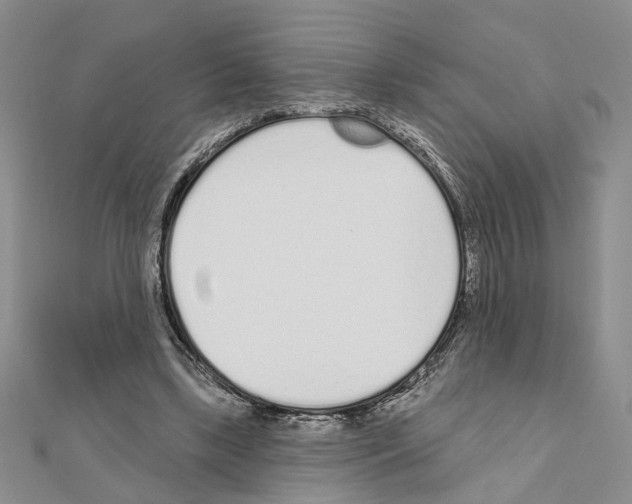 X0000110920443200907301606