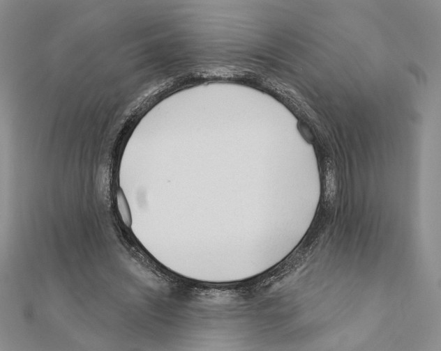 X0000110920444200907301606