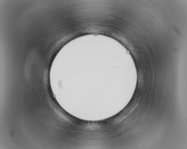 X0000110920445200907301606